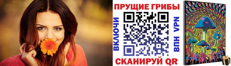 Галлюциногенные грибы Magic Shrooms  купить наркотики цена  Лесной 